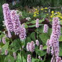 Pict0051
