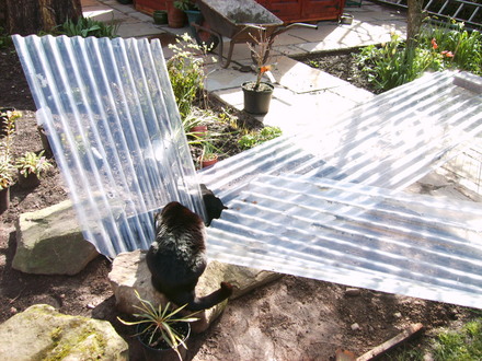 Rain_Catcher.jpg