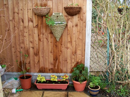 Wall baskets