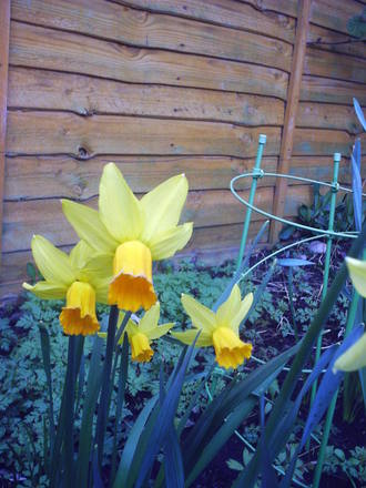 daff jetfire