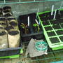 Seeds3