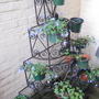 Planter_from_flower_shop