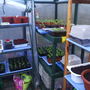 One corner of the Greenhouse 1.04.08