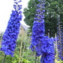 Captured_2007-6-22_00002