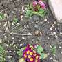 2many weeds:(