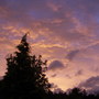 Pict0017