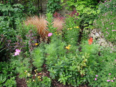 Planting for late Summer.