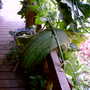 Fall10-30-04_058