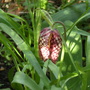 Apr_016