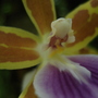 DSC05293.jpg