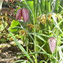 Apr_5_008
