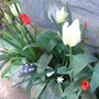 Patriotic_trough_2