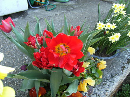 apr_5_002.jpg