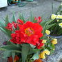 Apr_5_002