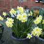 Apr_5_001