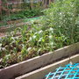 Garden_photo_s_008