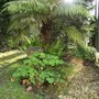 Apr_019
