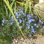 Apr_007