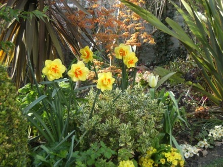 Spring colour