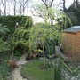 Apr_033