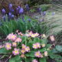 Corner_of_border