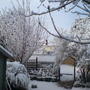 DSC00233.jpg
