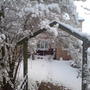 DSC00226.jpg
