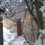 DSC00229.jpg