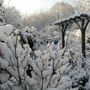 1snow_6_april