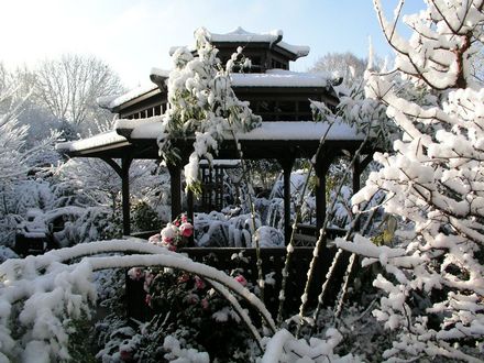 Blog 8. 6/4/08
