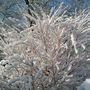 19snow_6_april