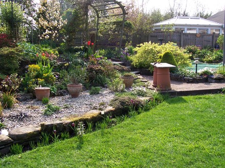 A garden flower photo