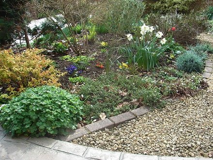 Front_garden.jpg