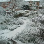 Front_garden_under_snow.jpg