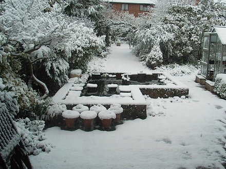Back_garden_under_snow.jpg