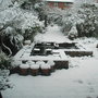Back_garden_under_snow