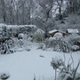 Snow_002