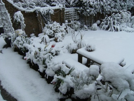Pots of colour turned White