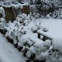 Snow_003