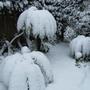 Snow_007