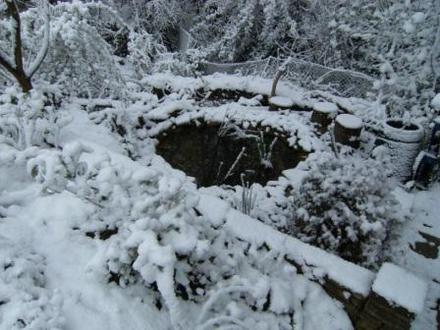 Pond April 08