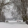 Snow_in_park