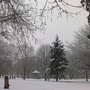 Park_in_snow