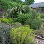 Pict0059
