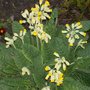 5th_april_2008_008