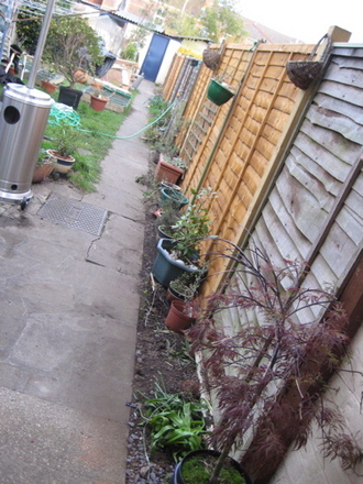 Back Fence