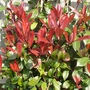 Dsc03241