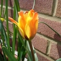 Dsc03256