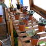 Early_2008_season_003