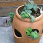 Early_2008_season_005